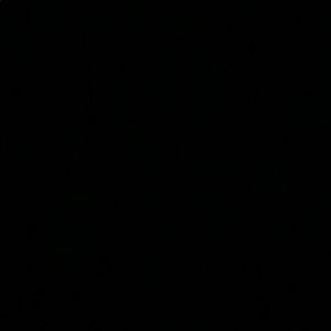 Meet your Posher, Rosa